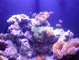 Underwater09