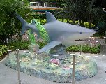 Underwater15-Shark