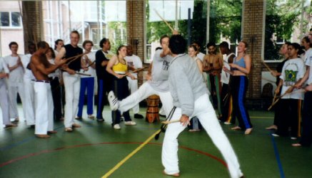 Maculele