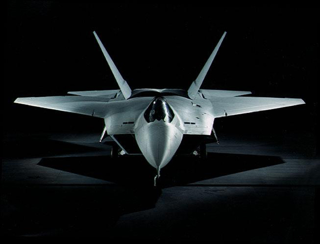 Raptor at rest