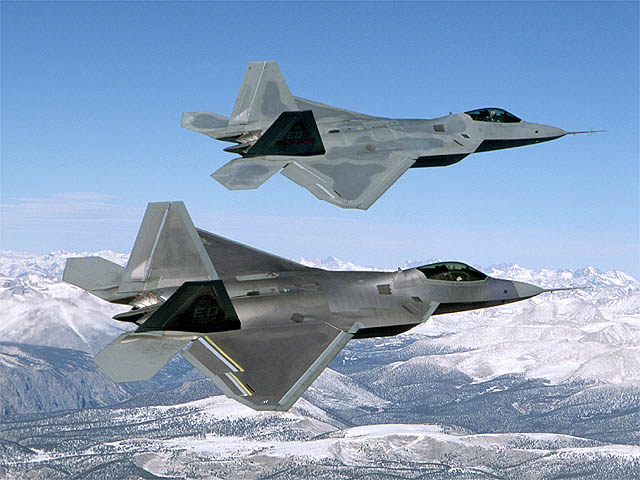 Raptors aloft side by side