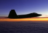 Sunset Raptor