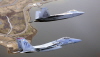 An Eagle and a Raptor