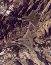 Raptor Twins Aloft