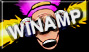 winamp.jpg (5934 bytes)