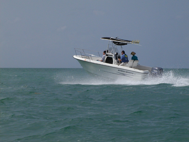 08050610e.jpg