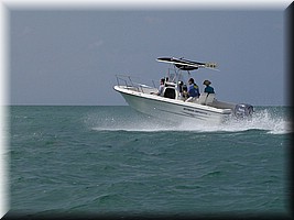 08050610e.jpg