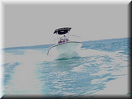 08050614e.jpg
