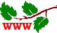 my favorite web sites