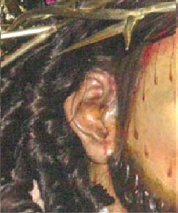 Jes�s De La Merced, ==Detalle De Su Oreja Derecha==