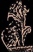 Le�n De Castilla