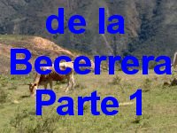 Fotos de la Becerrara N&deg;1