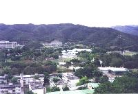 Vista desde la casa del autor de la p�gina