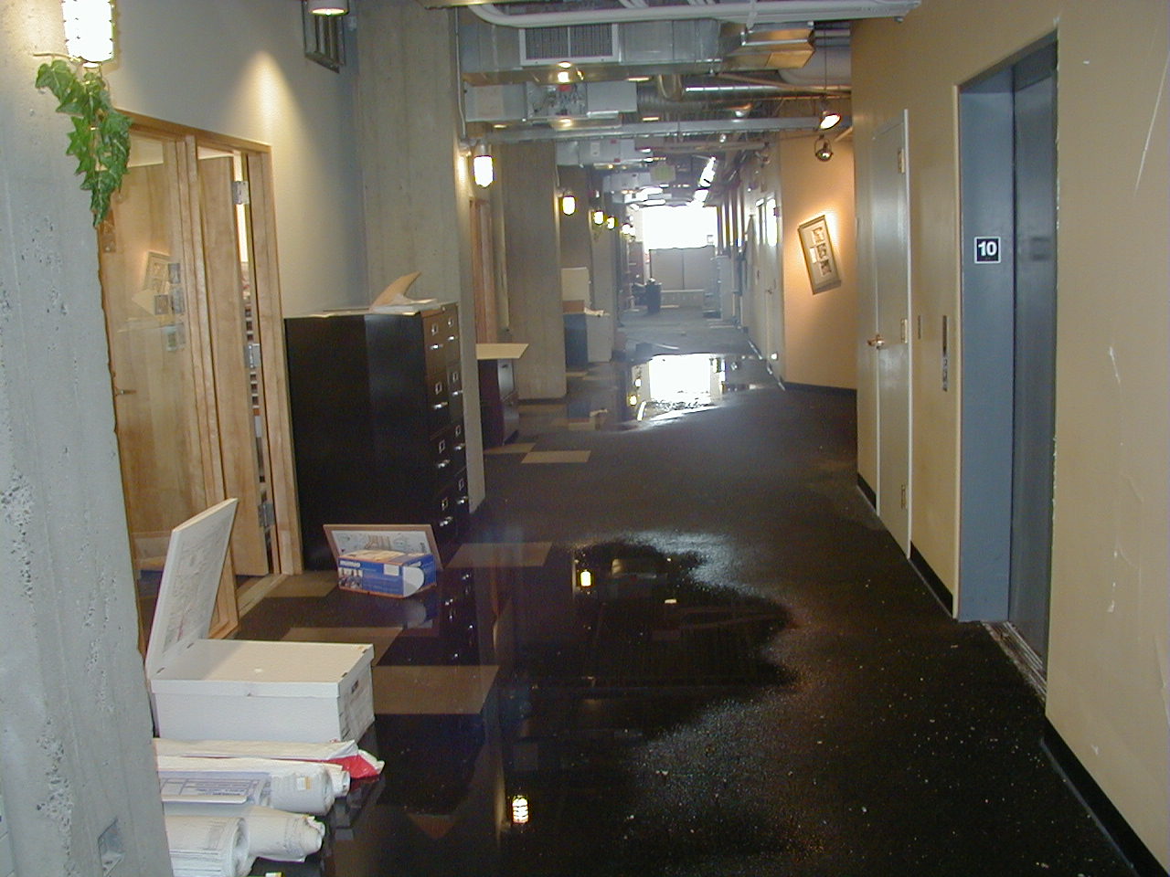 Photo 3 - Lookin' down the hall...