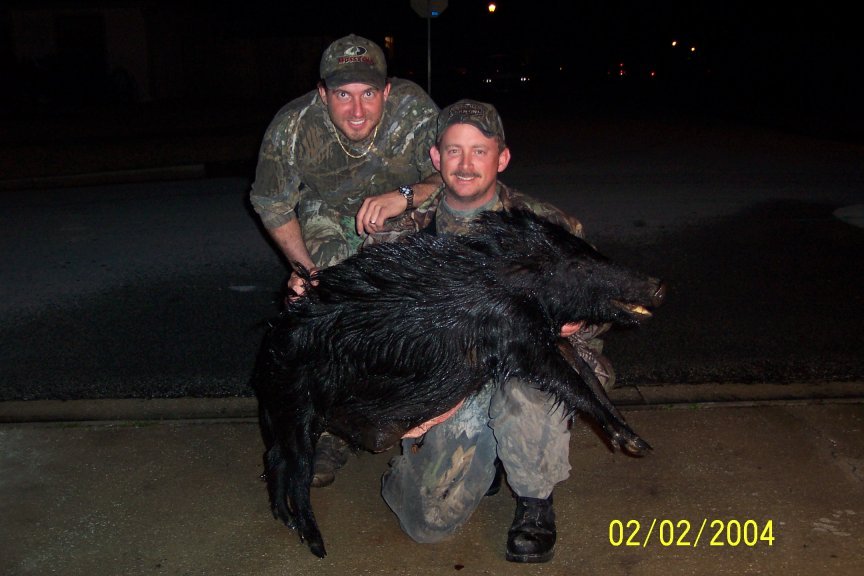 120 lb Hog