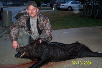 A 200 pound boar hog shot in Osceola National Forest