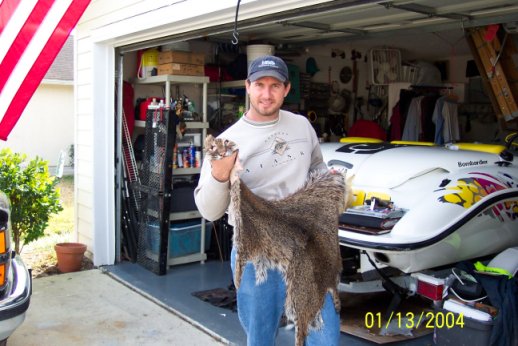 Now that's a big cat...Lance's 40 lb. Bobcat !
