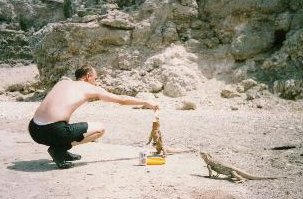 Dana feeding the montrouse Cuban iguanas (while they drink Miller Lite) !!!