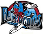 Jax, Florida Hockey........yeah, hockey in Florida !!!!!