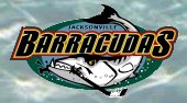 Jacksonville's newest hockey team !