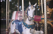 mon petit cheval