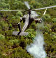apache1.jpg (119444 bytes)