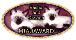 Miauaward - see Sasha and Oksana - they're little sweeties