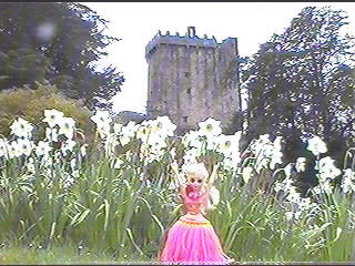 Bobbi at Blarney Castle!!!