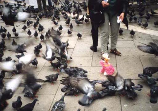 Saint Mark's Square: "Feed the birds, one Euro a bag . . ."