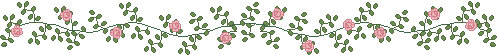 Divider Line