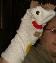 Sock Puppet