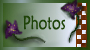 See my Photos