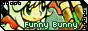 Funny Bunny *w*