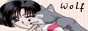 Wolfi flog XD 