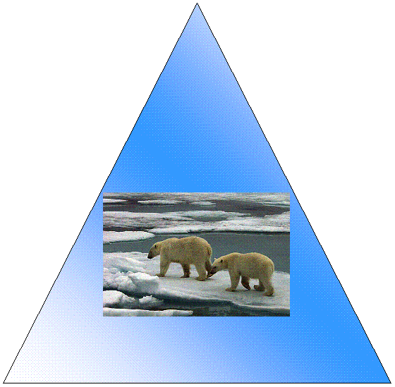 Isosceles Triangle:  