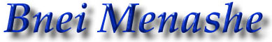 bnei menashe logo