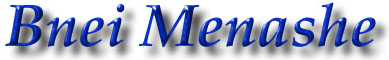bnei menashe logo