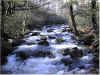 Rolling River - unknown
