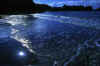 awsome coastal picture - unknown