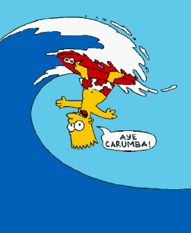 SURFING U.S.A!