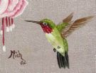 hummingbird