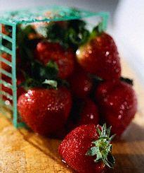 fraises.jpg (11581 octets)