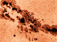Manchas Solares
