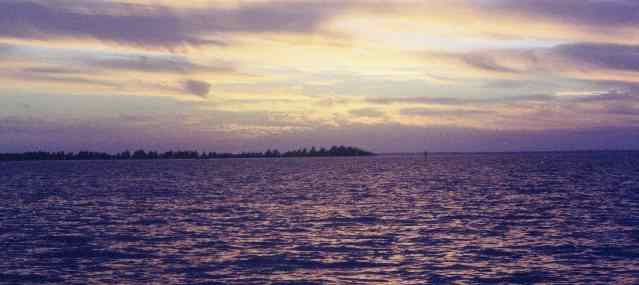Dawn, before the coffee.