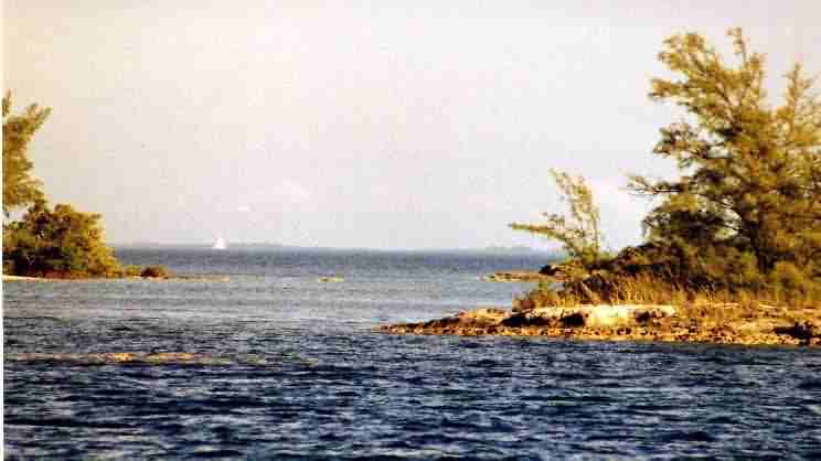 Current Cut, looking east into the current.