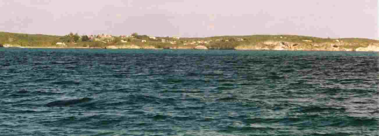 Eleuthera from about a mile offshore.
