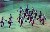 Click to see The National Pom at Denton!