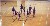 Click to see The Tex-Anne Stars Performance!