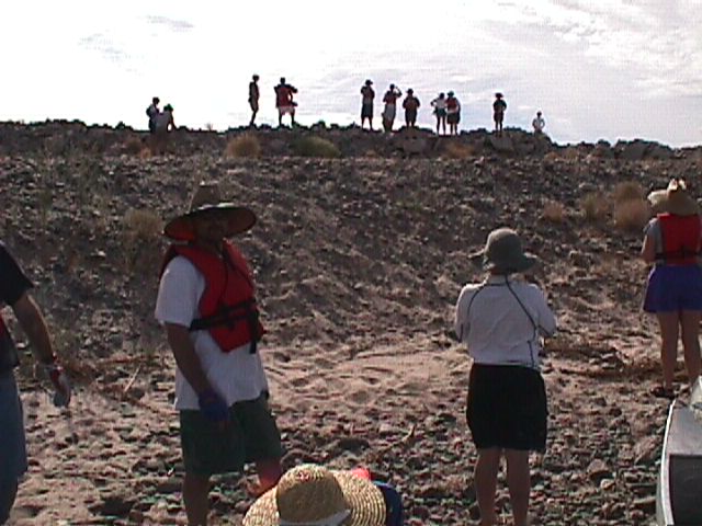 clrdo017.jpg