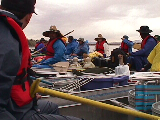 clrdo067.jpg
